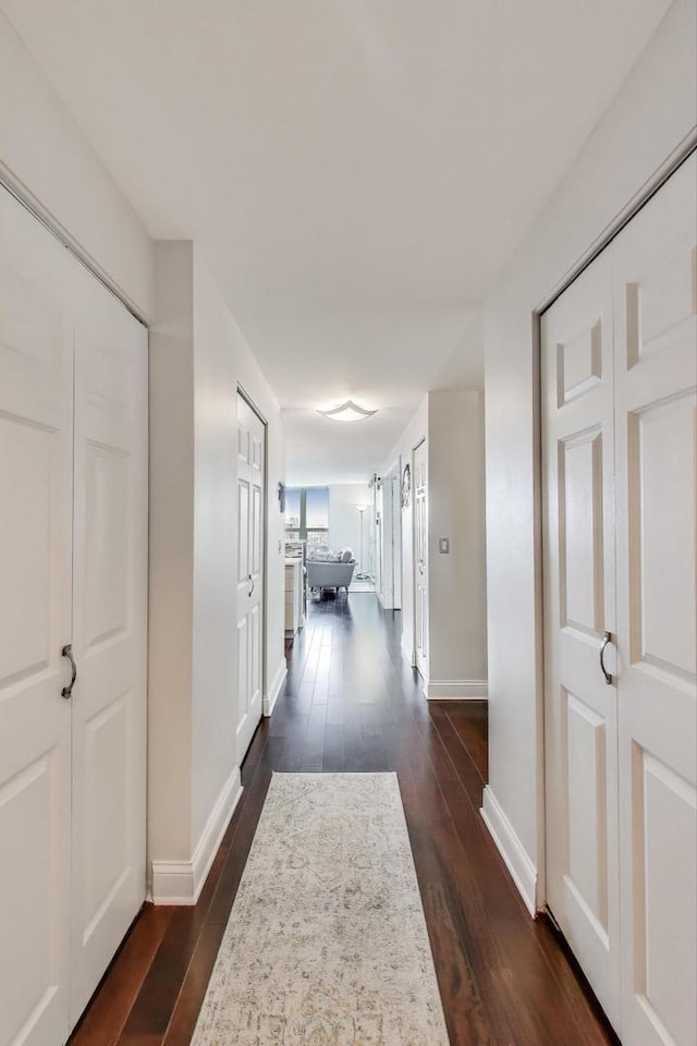 345 N Lasalle Blvd Unit 3602, Chicago, IL 60654 - hall with dark wood-type flooring and baseboards