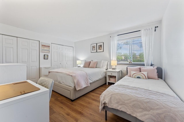 1331 S Finley Rd Unit 114, Lombard, IL 60148 - bedroom with two closets and wood finished floors