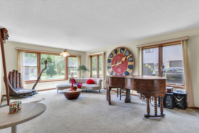 4008 Pinecrest Dr, Champaign, IL 61822 - living area featuring a textured ceiling and carpet