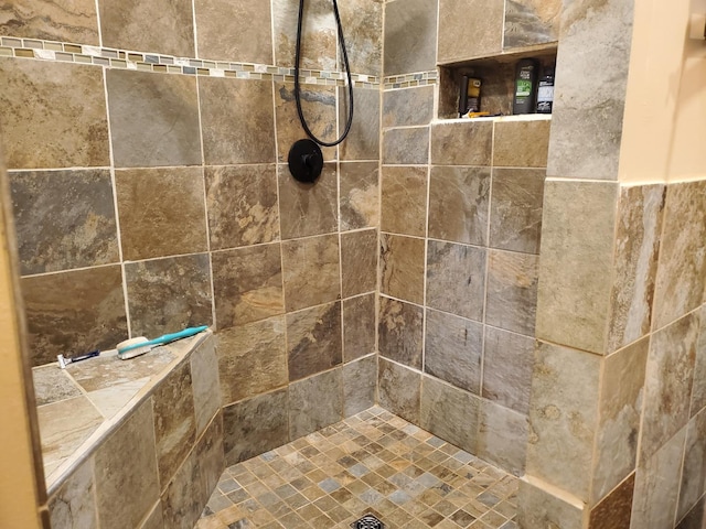 507 N Secor St, Gilman, IL 60938 - bathroom with a tile shower
