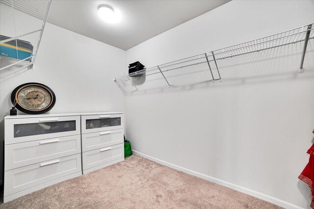 14117 Meadow Ln, Plainfield, IL 60544 - spacious closet featuring carpet floors
