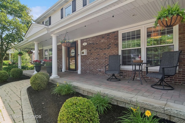 1101 S Nightingale Dr, Palatine, IL 60067 - view of porch