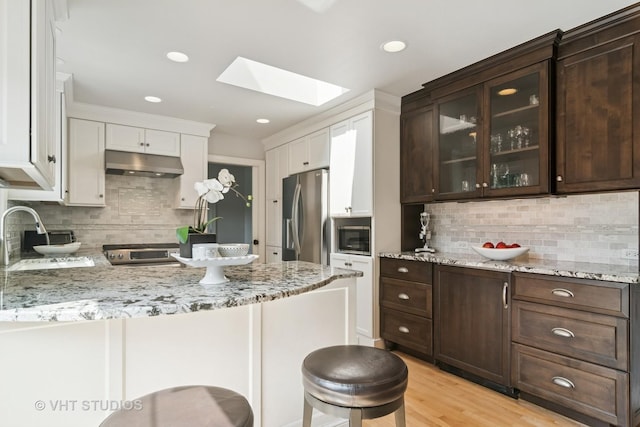 1101 S Nightingale Dr, Palatine, IL 60067 - kitchen with under cabinet range hood, stainless steel appliances, a skylight, tasteful backsplash, and dark brown cabinets