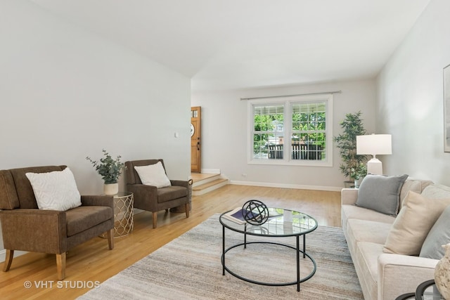 1101 S Nightingale Dr, Palatine, IL 60067 - living room with light wood-style flooring and baseboards