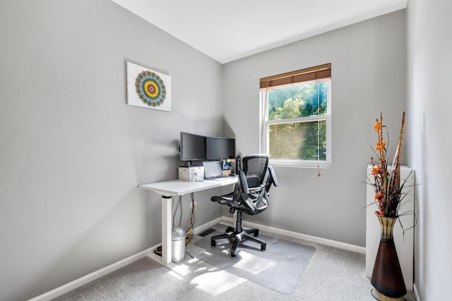 755 Rockhurst Rd, Bolingbrook, IL 60440 - office area with carpet floors