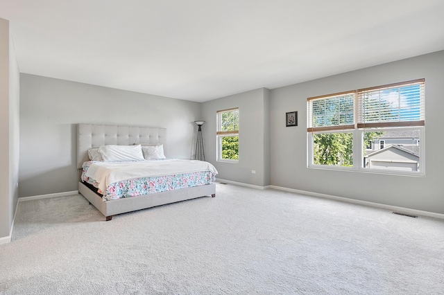 755 Rockhurst Rd, Bolingbrook, IL 60440 - carpeted bedroom with baseboards