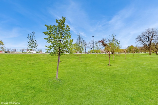 surrounding community featuring a lawn