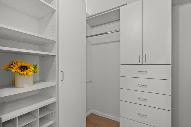 walk in closet featuring wood finished floors