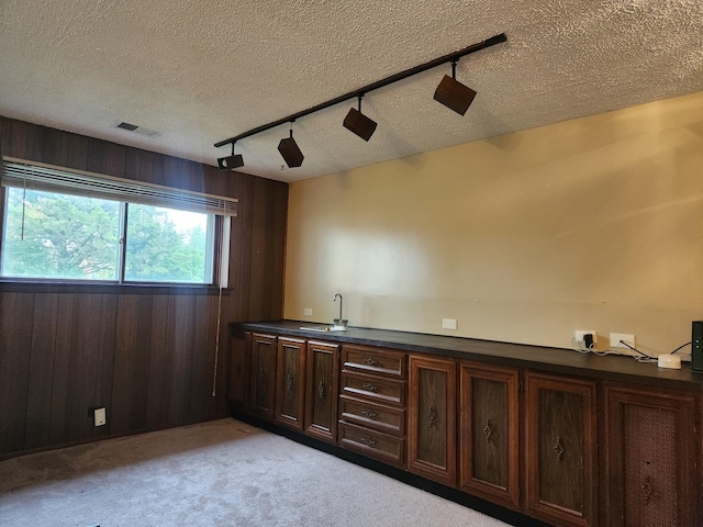 237 Sumac Ln, Schaumburg, IL 60193 - bar area featuring rail lighting, wooden walls, light colored carpet, and a textured ceiling