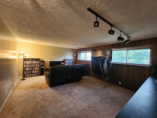 237 Sumac Ln, Schaumburg, IL 60193 - cinema room featuring carpet floors, a textured ceiling, wood walls, and rail lighting