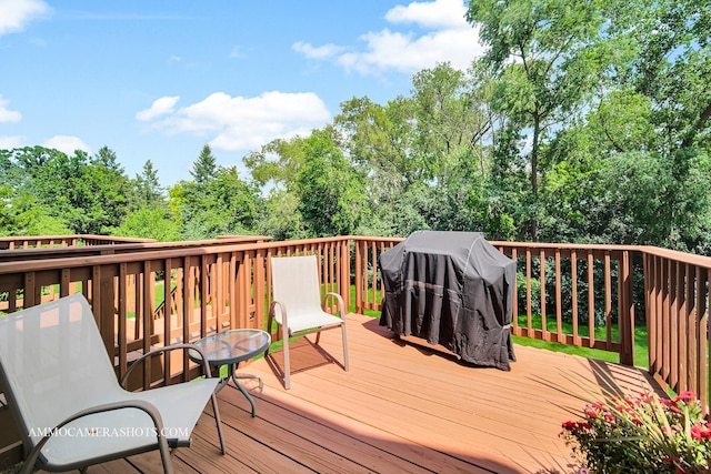 206 Tanglewood Dr, Glen Ellyn, IL 60137 - photo 26