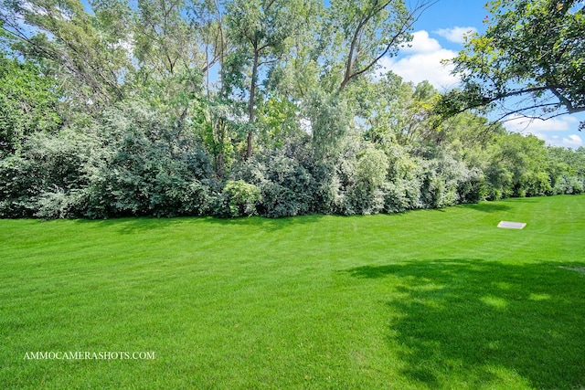 206 Tanglewood Dr, Glen Ellyn, IL 60137 - photo 29