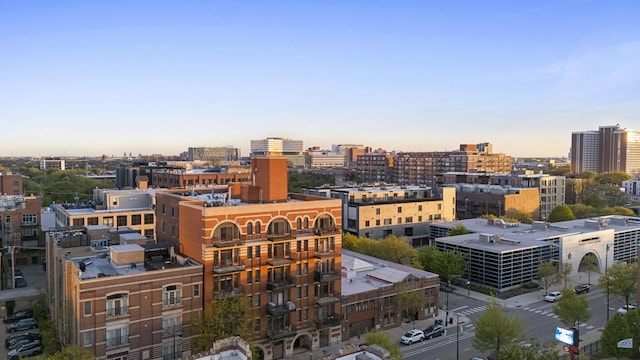 1355 W Washington Blvd Unit 4D, Chicago, IL 60607 - view of city