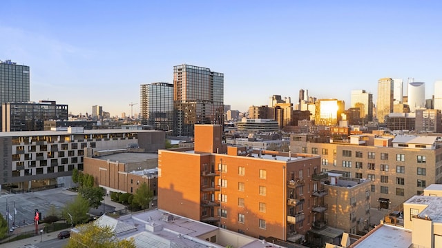 1355 W Washington Blvd Unit 4D, Chicago, IL 60607 - view of city skyline