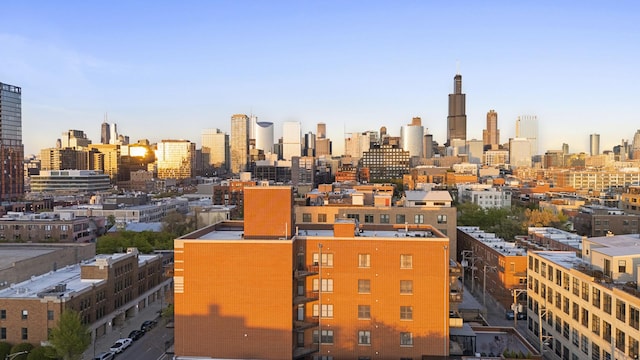1355 W Washington Blvd Unit 4D, Chicago, IL 60607 - view of city skyline