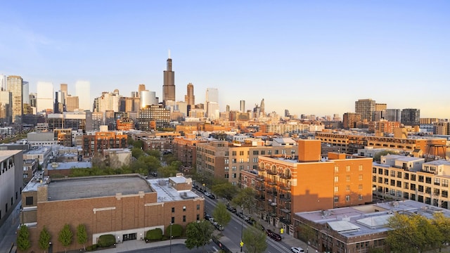 1355 W Washington Blvd Unit 4D, Chicago, IL 60607 - skyline view