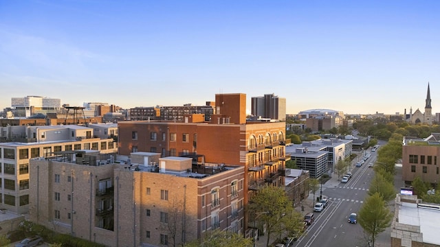 1355 W Washington Blvd Unit 4D, Chicago, IL 60607 - view of city