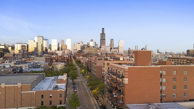 1355 W Washington Blvd Unit 4D, Chicago, IL 60607 - skyline view