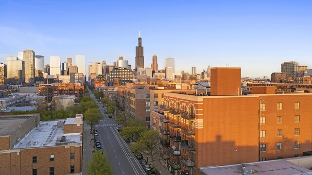 1355 W Washington Blvd Unit 4D, Chicago, IL 60607 - view of city skyline