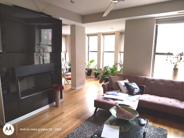 living area featuring wood finished floors and ceiling fan