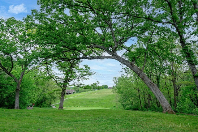 22 Valleywood Ln Unit 22, Galena, IL 61036 - view of community featuring a lawn