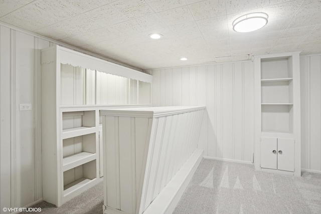 43 N Mount Prospect Rd, Des Plaines, IL 60016 - spacious closet with carpet flooring