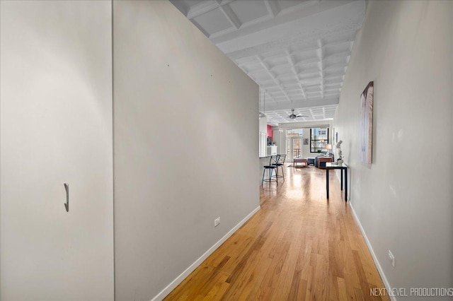 1307 S Wabash Ave Unit 402, Chicago, IL 60605 - corridor featuring baseboards and light wood-type flooring