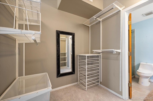 1307 S Wabash Ave Unit 402, Chicago, IL 60605 - spacious closet with carpet