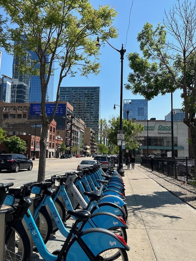 1307 S Wabash Ave Unit 402, Chicago, IL 60605 - view of property's community with a city view