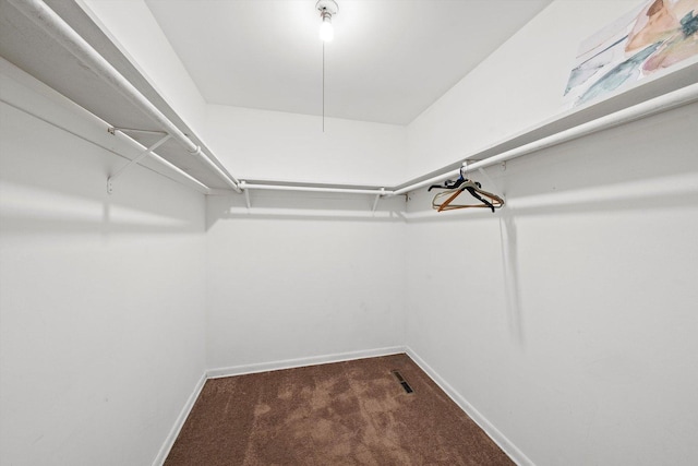 17714 Dogwood Ln, Hazel Crest, IL 60429 - walk in closet with carpet floors