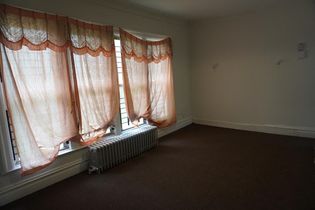 7225 S Princeton Ave, Chicago, IL 60621 - empty room featuring radiator heating unit, carpet, and baseboards