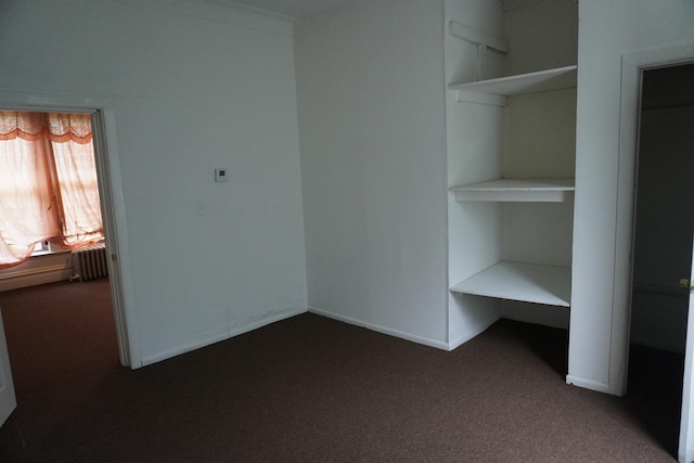 7225 S Princeton Ave, Chicago, IL 60621 - closet featuring radiator