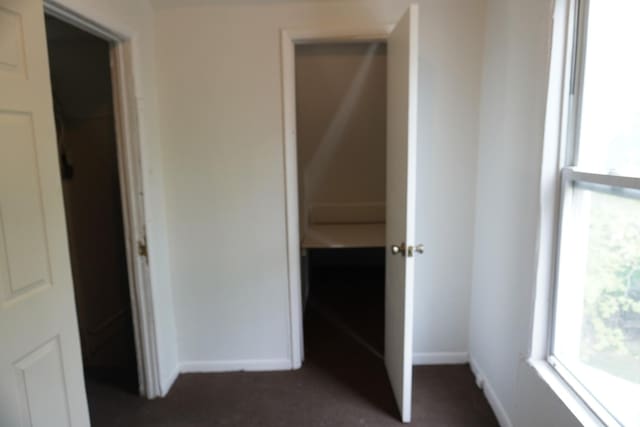 7225 S Princeton Ave, Chicago, IL 60621 - view of closet