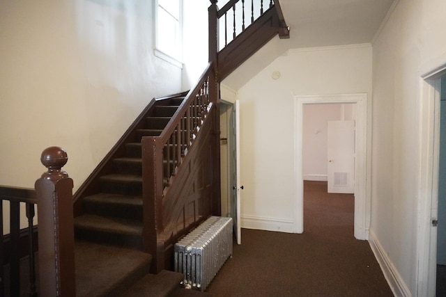 7225 S Princeton Ave, Chicago, IL 60621 - staircase with radiator heating unit, carpet, and baseboards