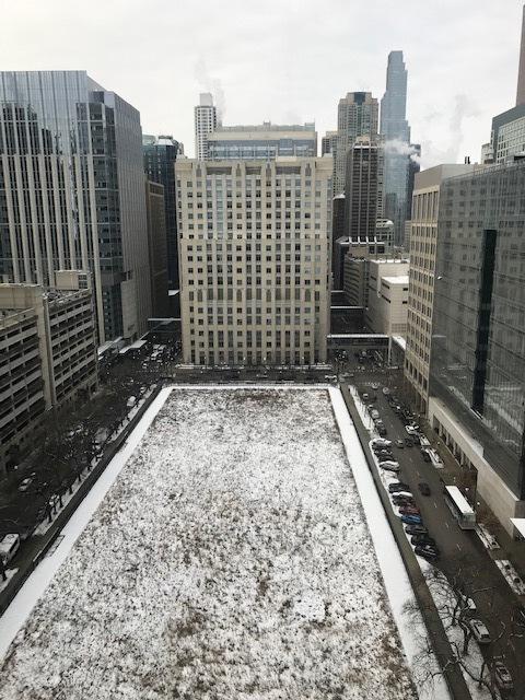 680 N Lake Shore Dr Unit 1623, Chicago, IL 60611 - city view