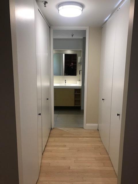 680 N Lake Shore Dr Unit 1623, Chicago, IL 60611 - hallway with light wood-style flooring
