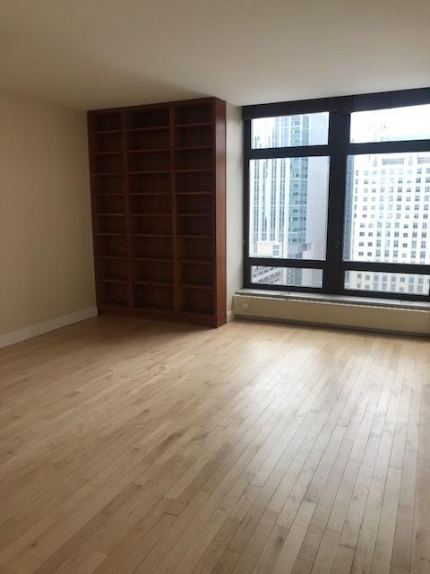 680 N Lake Shore Dr Unit 1623, Chicago, IL 60611 - spare room featuring wood finished floors, baseboards, and a baseboard radiator