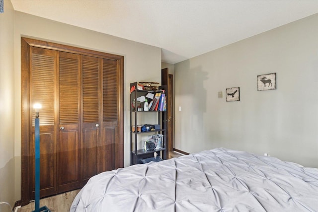 608 E Webster St, Polo, IL 61064 - bedroom with a closet and light wood-type flooring