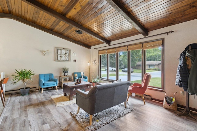 608 E Webster St, Polo, IL 61064 - living area featuring wood finished floors and wooden ceiling