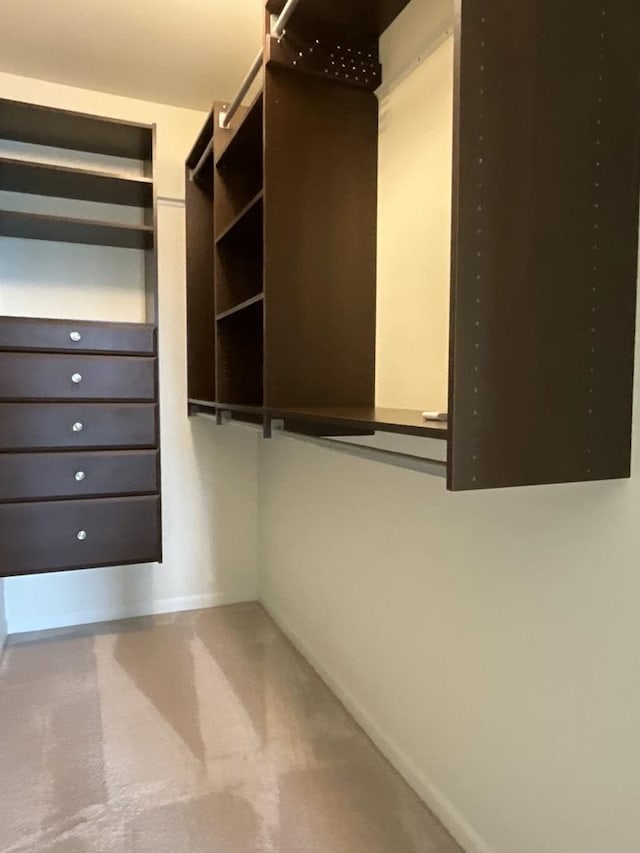 203 W Hyde St, Arlington Heights, IL 60005 - view of walk in closet