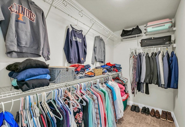 31 Lodge Trl, Monticello, IL 61856 - walk in closet with carpet flooring