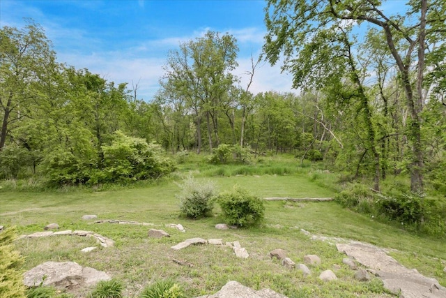 2261 E Gaisor Dr, Crete, IL 60417 - view of green lawn with a wooded view