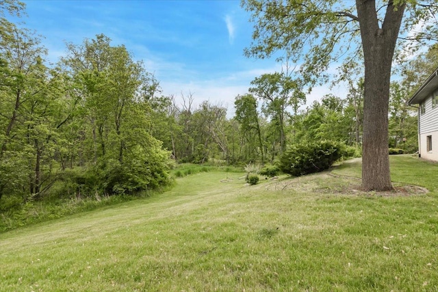 2261 E Gaisor Dr, Crete, IL 60417 - view of grassy yard