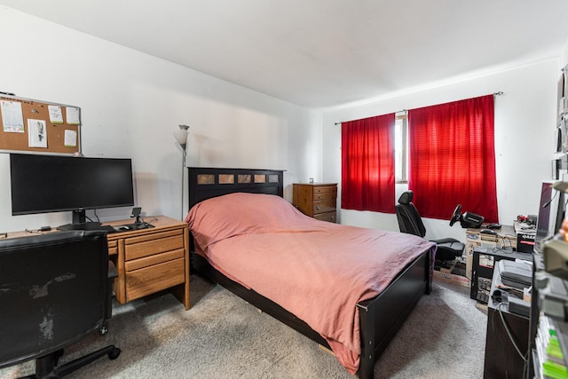 1409 E Stonehenge Dr Unit 1409, Sycamore, IL 60178 - view of carpeted bedroom