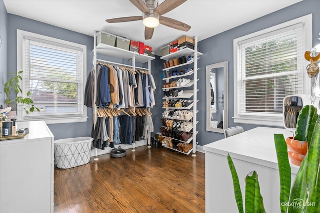 521 N Elm St, Hillside, IL 60162 - walk in closet with wood finished floors and a ceiling fan