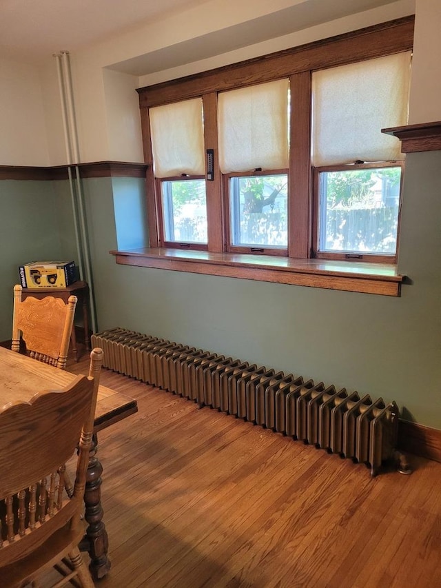 442 High St, Buda, IL 61314 - bedroom with radiator heating unit and wood finished floors