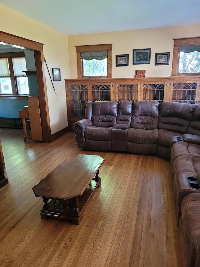442 High St, Buda, IL 61314 - living room featuring wood finished floors and radiator