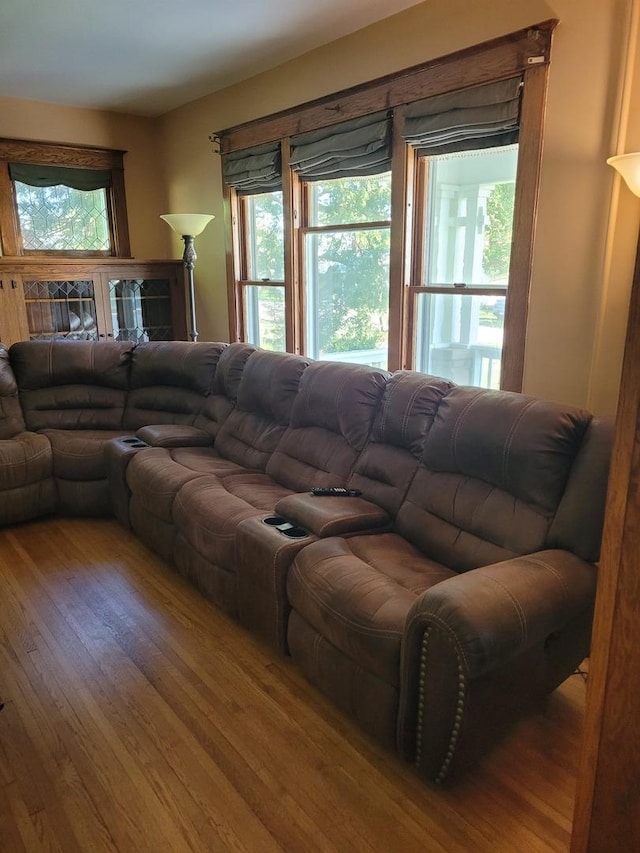 442 High St, Buda, IL 61314 - living room featuring wood finished floors