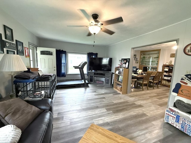201 N Meyers Ave, Milledgeville, IL 61051 - photo 25
