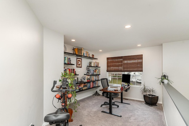 3917 Kristen Ct, Plano, IL 60545 - office space with carpet flooring, recessed lighting, and baseboards